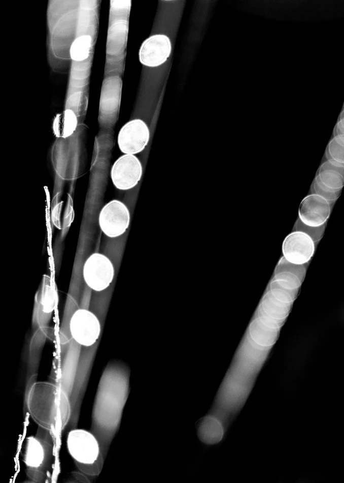 copyright 2014 clyonsphotogrpaher@bigpond.com-3.jpg