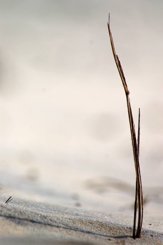 copyright 2014 clyonsphotogrpaher@bigpond.com-143.jpg