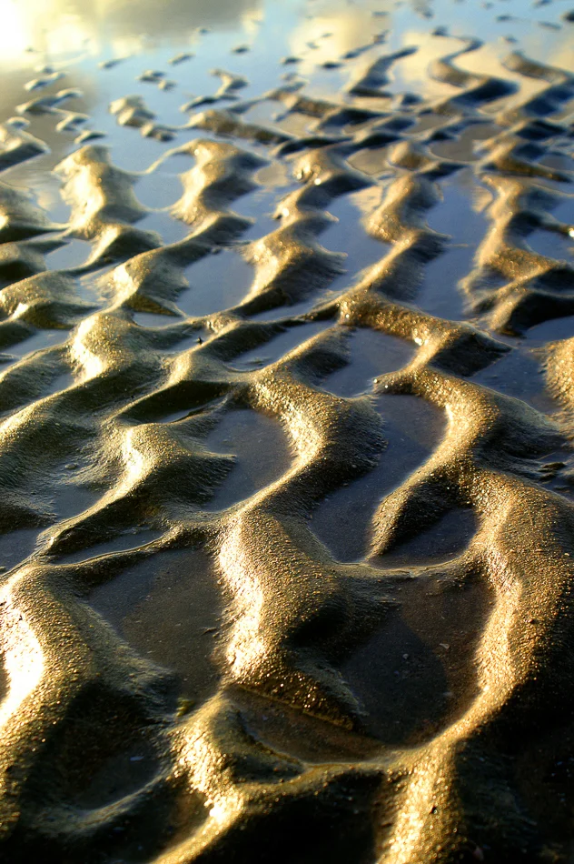 copyright 2014 clyonsphotogrpaher@bigpond.com-86.jpg
