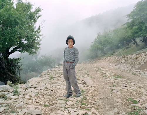Portrait of Ali, 2014  &nbsp;by Hoda Afshar