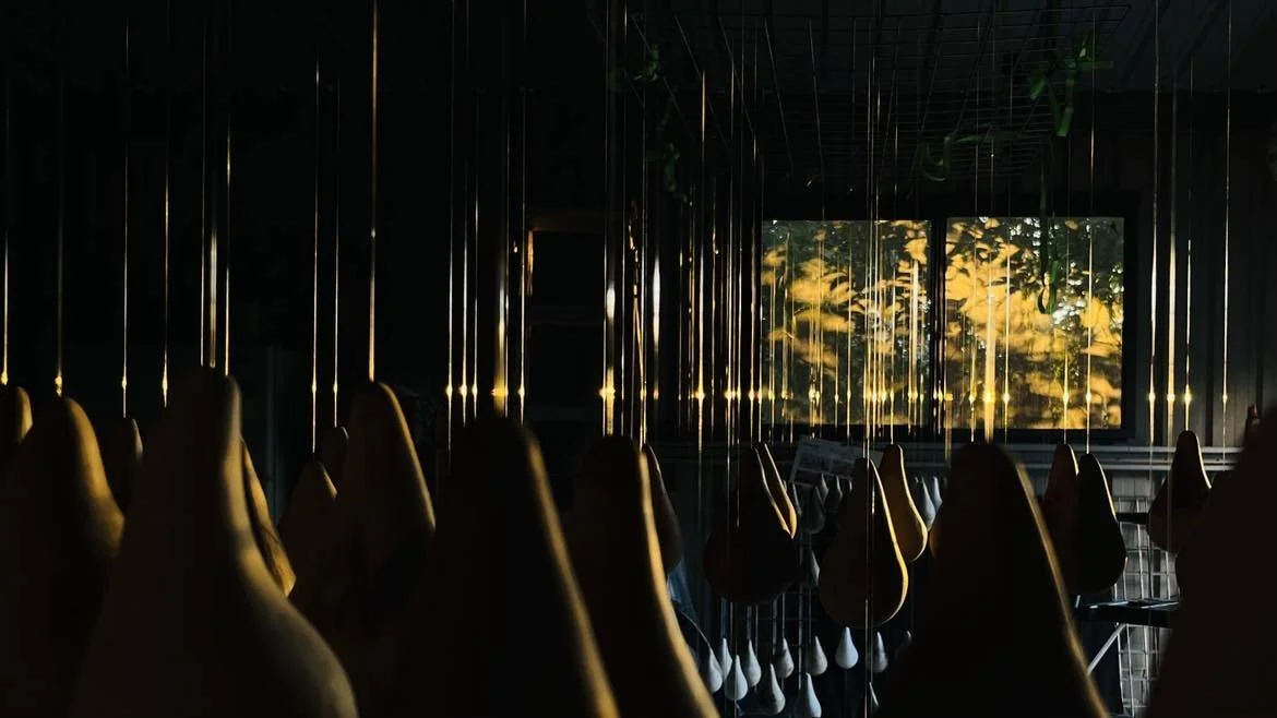 charmaine lyons_repeating gestures of becoming_4.jpg