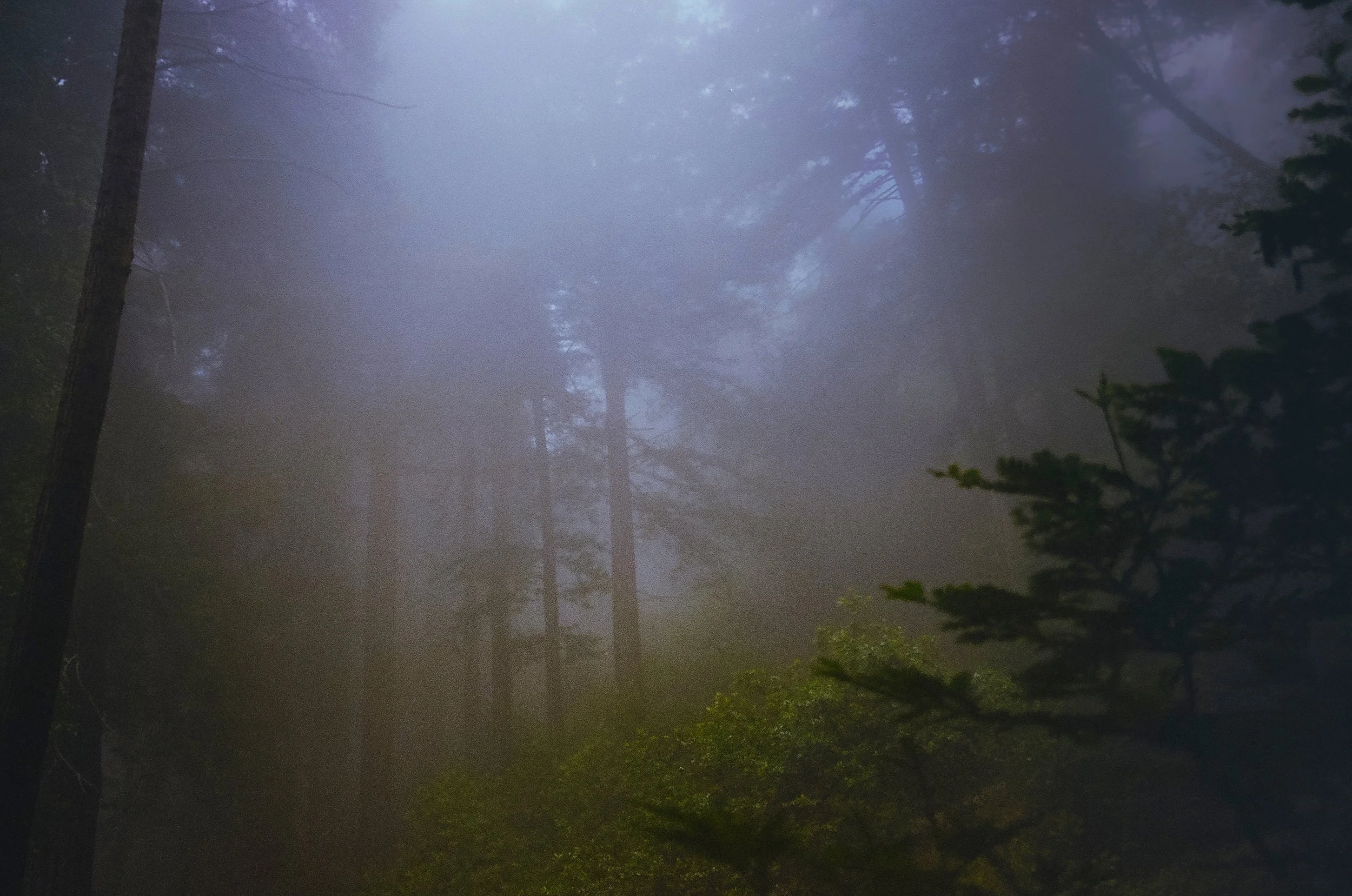 BigSur-Fog3-GKelly.jpg