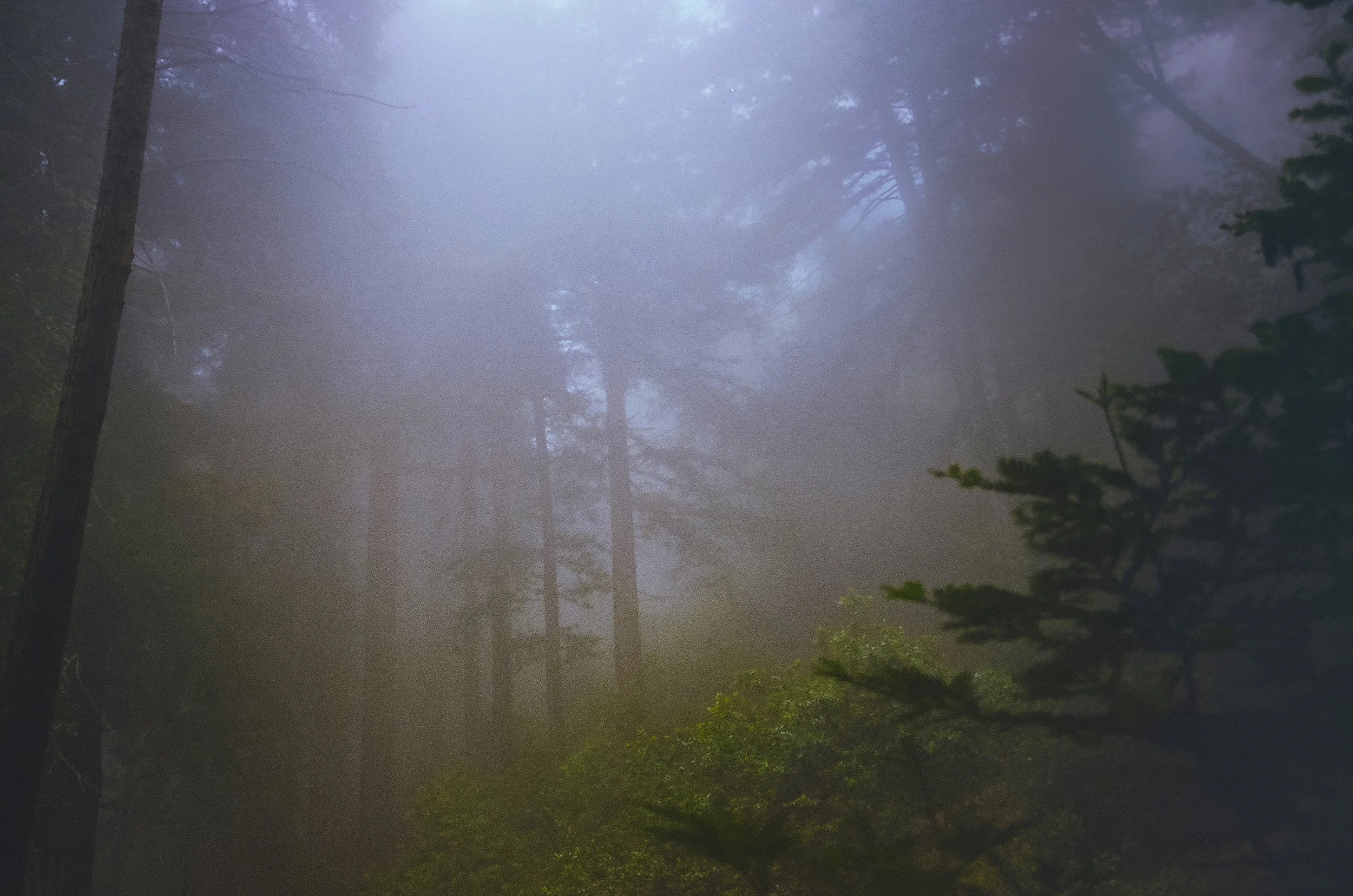 BigSur-Fog3-GKelly-bitbrigther_etc.jpeg