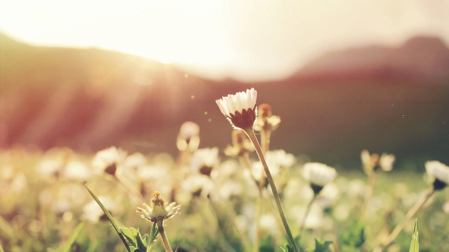 Health Benefits of Positive Thinking