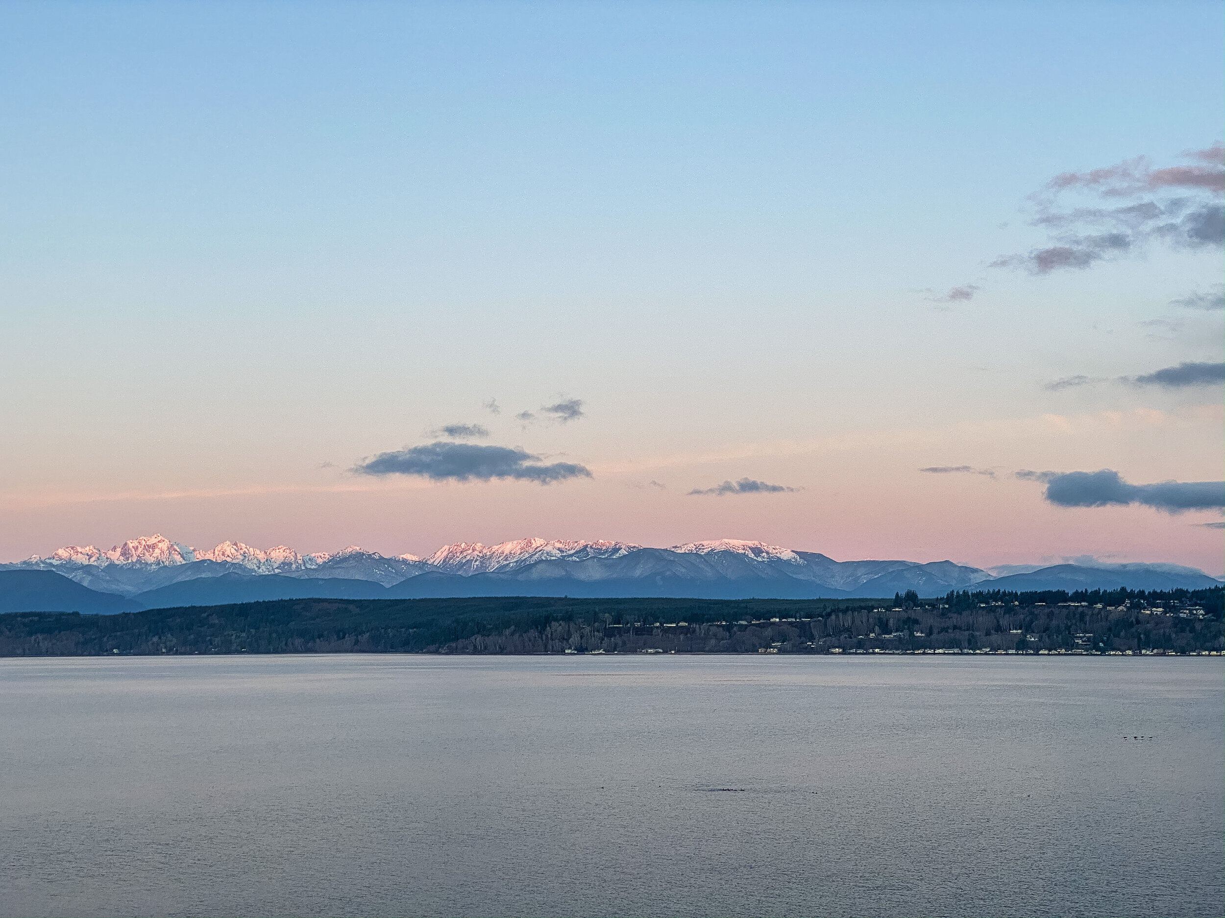 Weathering the Storm of Fear and Anxiety