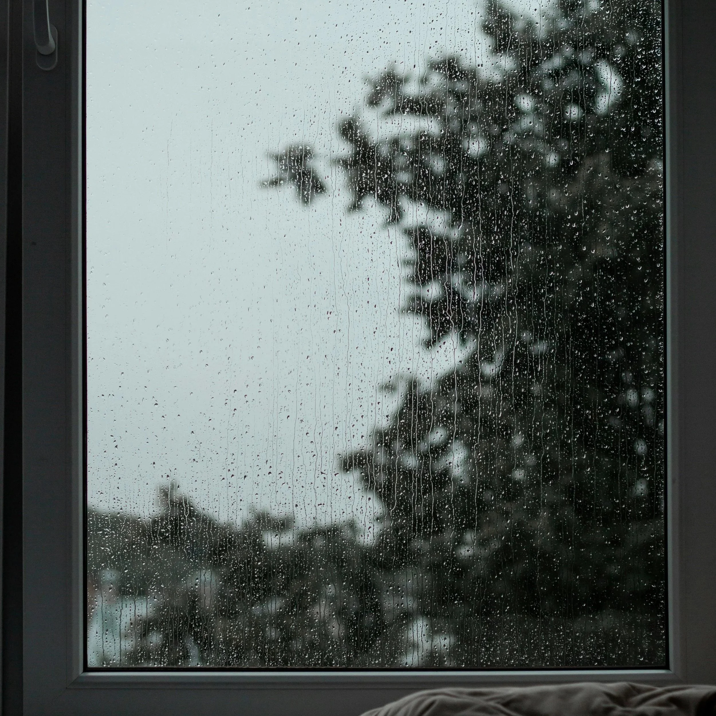 Seasonal Affective Disorder: What It Is and How to Manage It&nbsp;