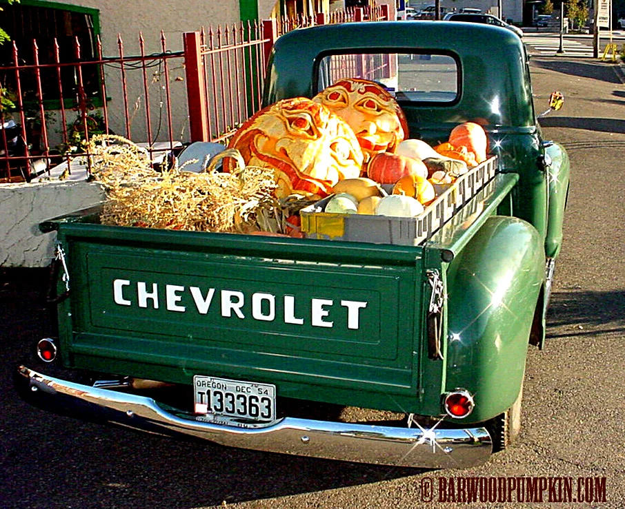 Truckload of sweet pumpkin
