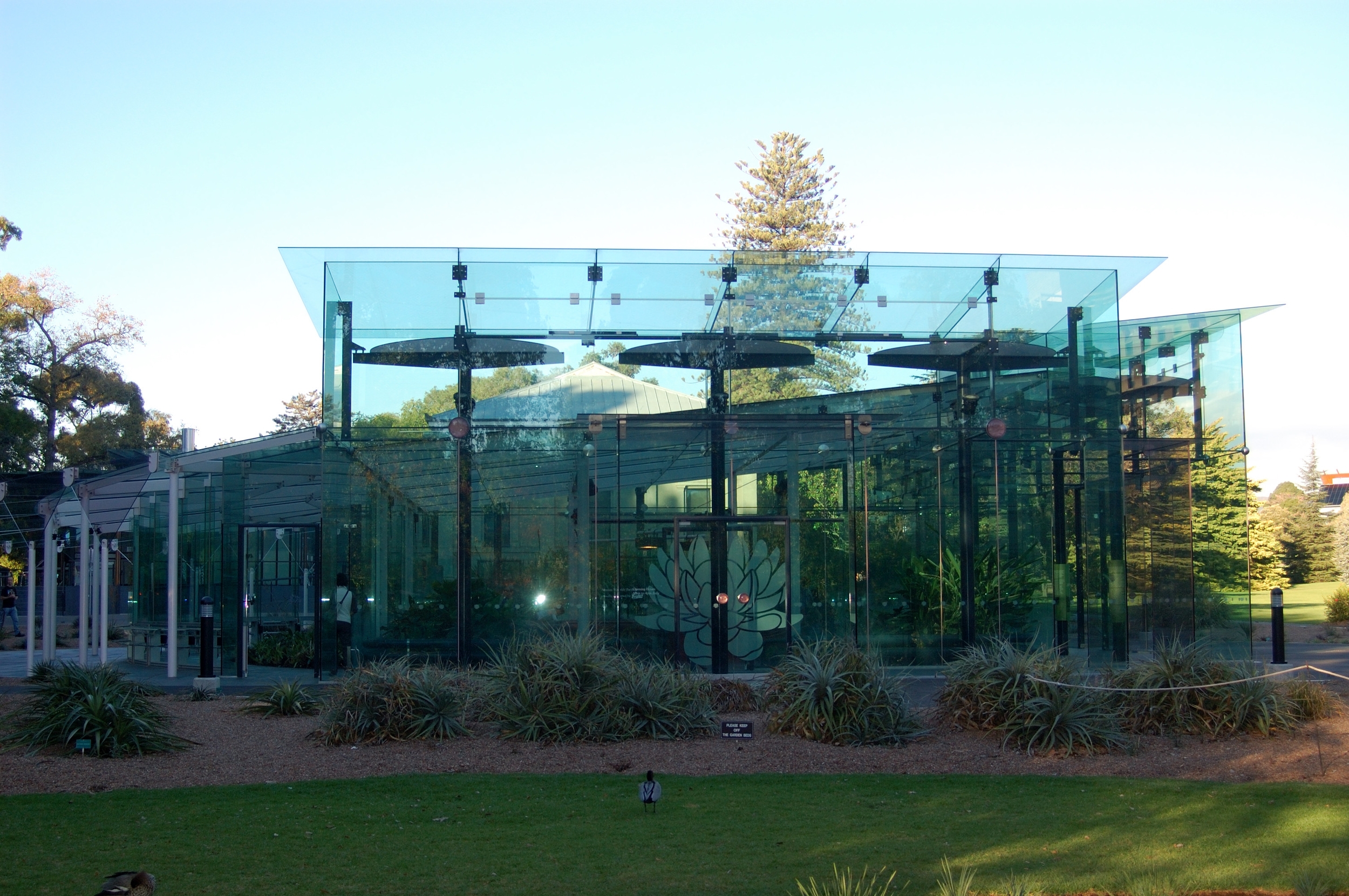 Amazon front face.JPG