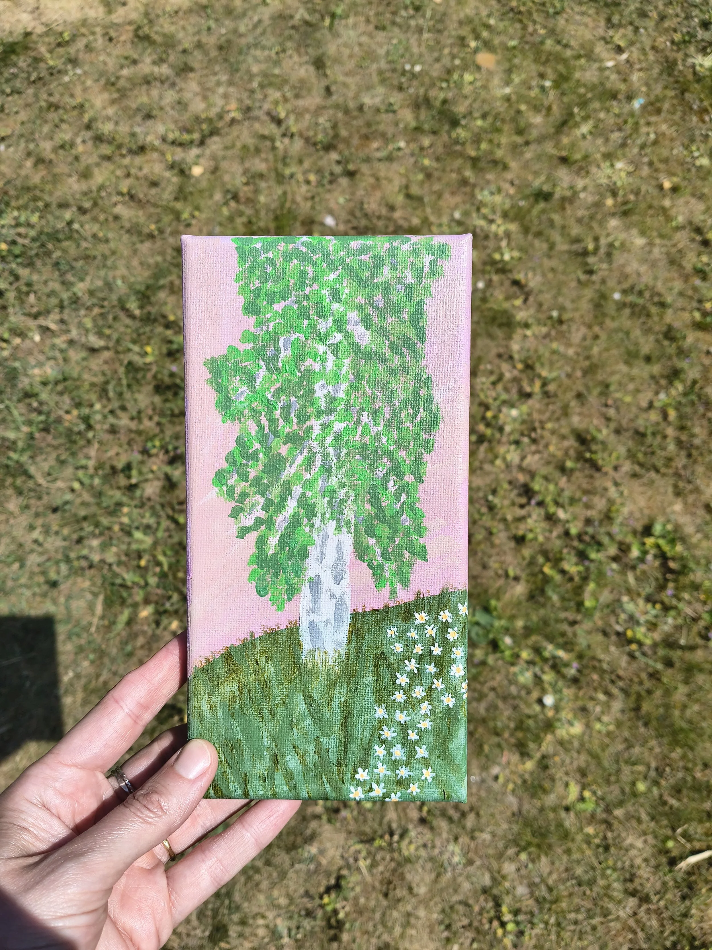 Silver Birch - Acrylic on Canvas Painting