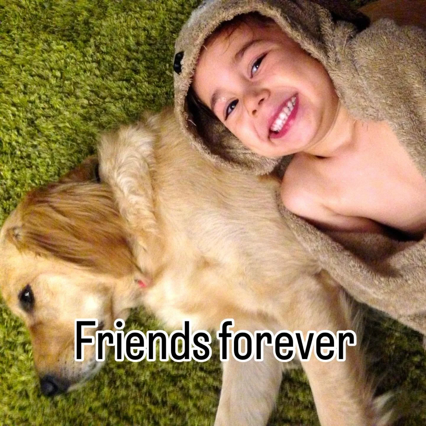 We had to say goodbye to our lovely Golden Peppa today. 💔💔💔