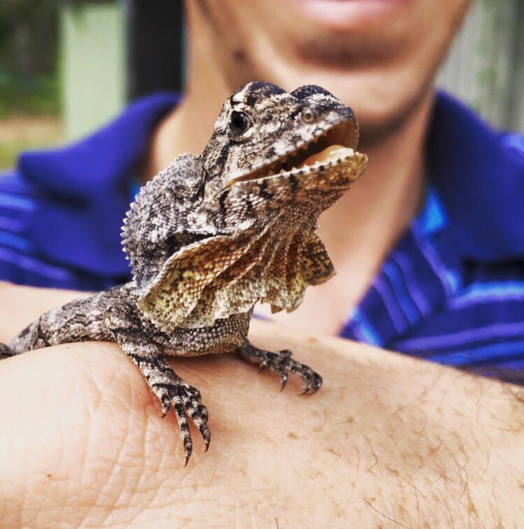 image via Australia Zoo Facebook page