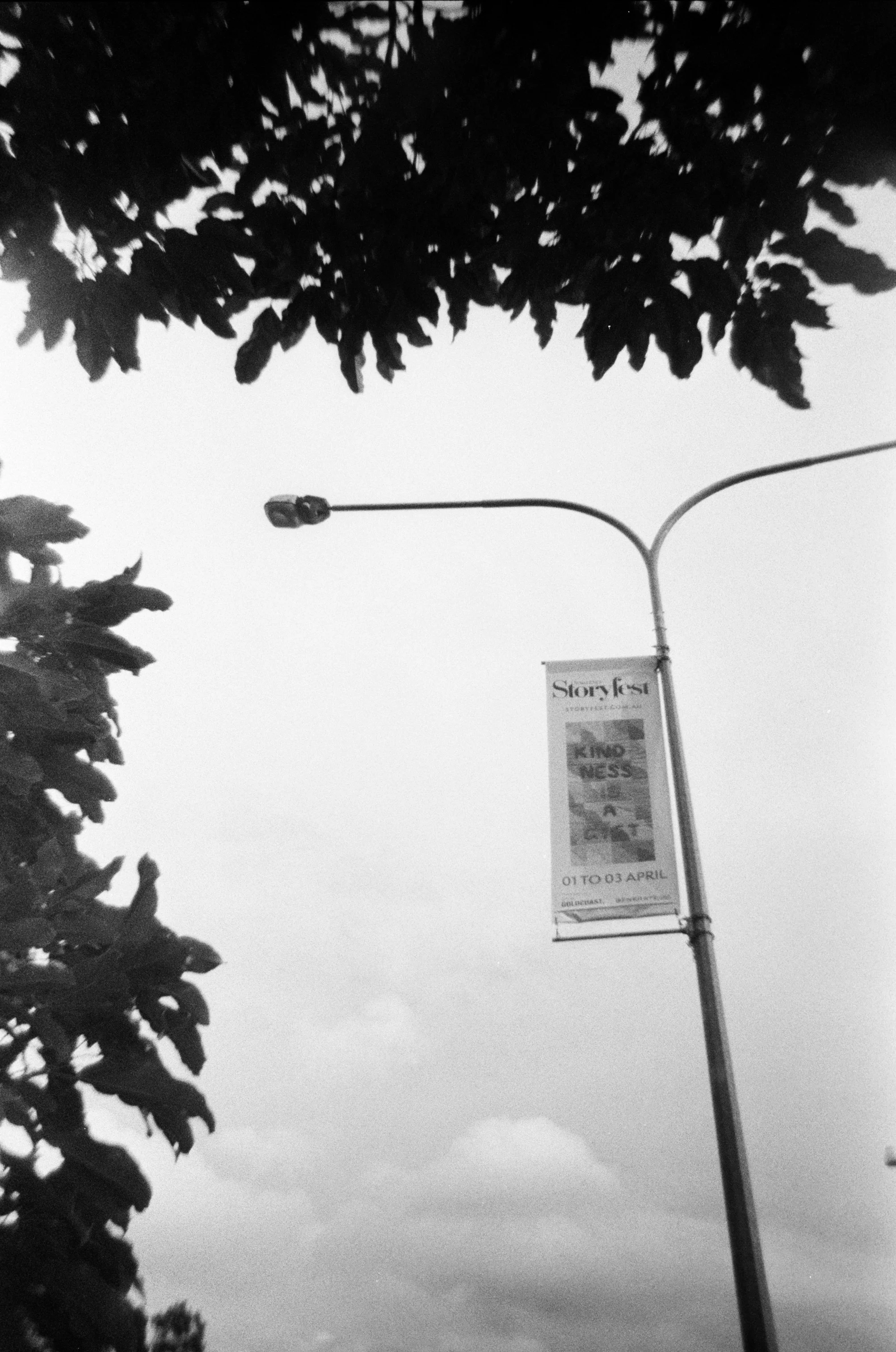 Artwork Banner installed on Street Poles, Somerset Dr QLD