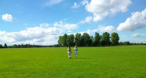 560px_Green_fields.jpg