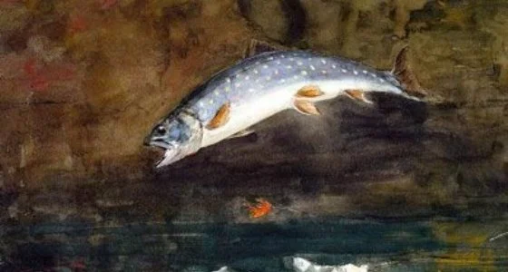 560_px_jumping_trout_winslow_homer.jpg