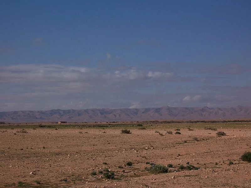 800px-Algerian_desert.jpg