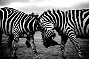 Humility: Embracing imperfections and limitations