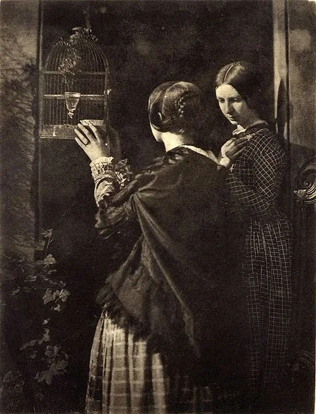 A quote to live and die by