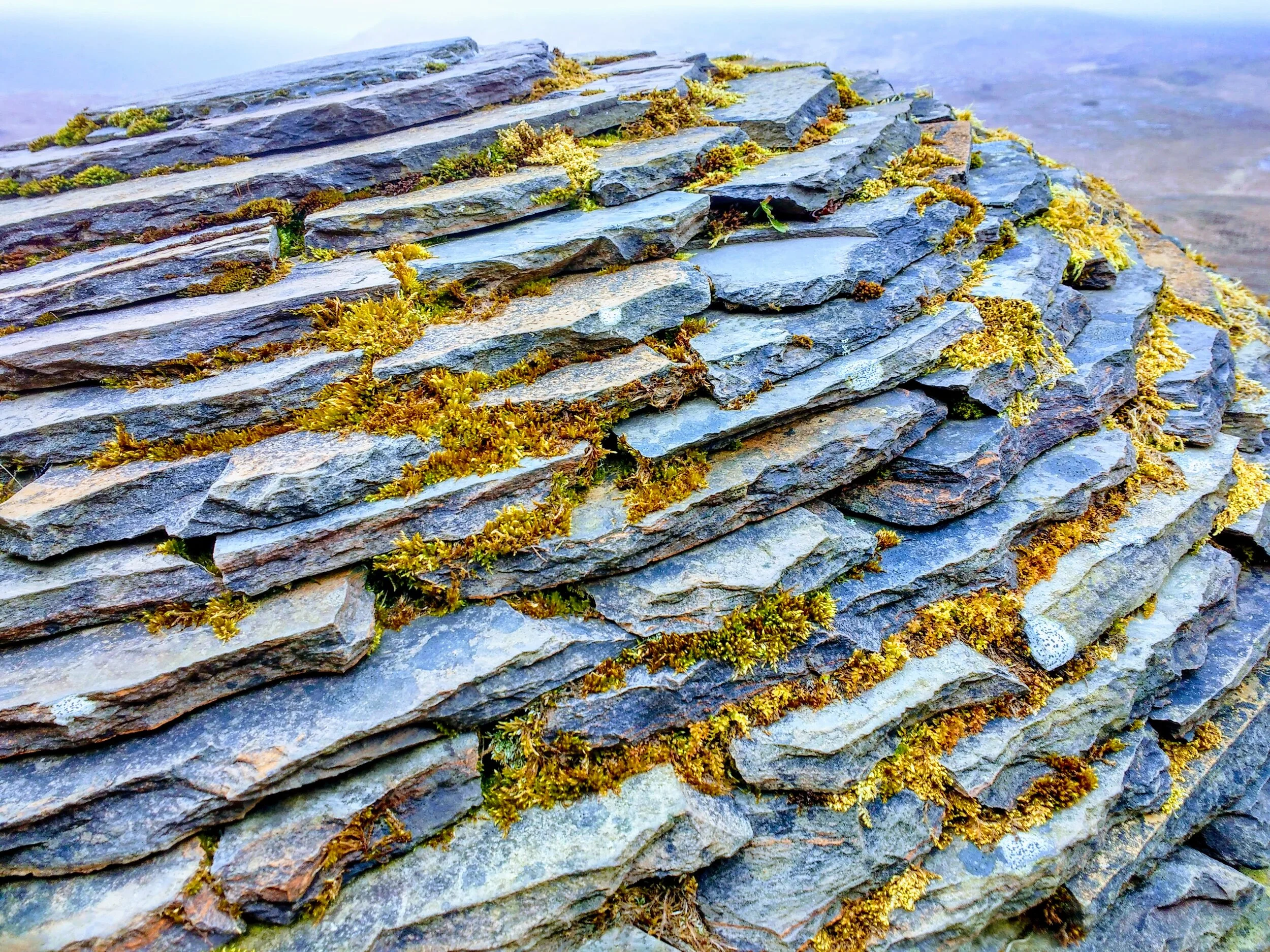 Knockan Crag Nature Reserve