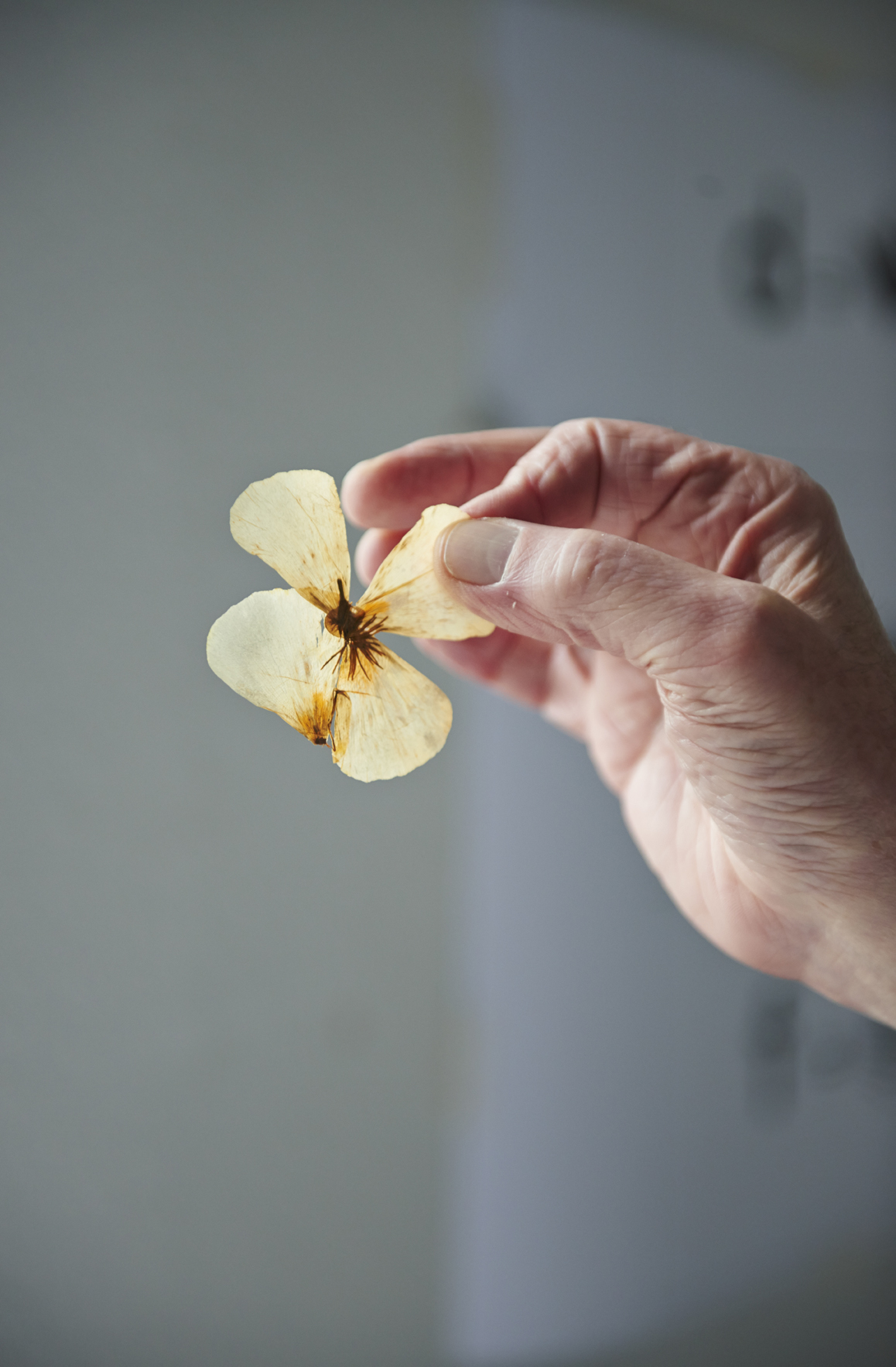 John Newling_21.jpg