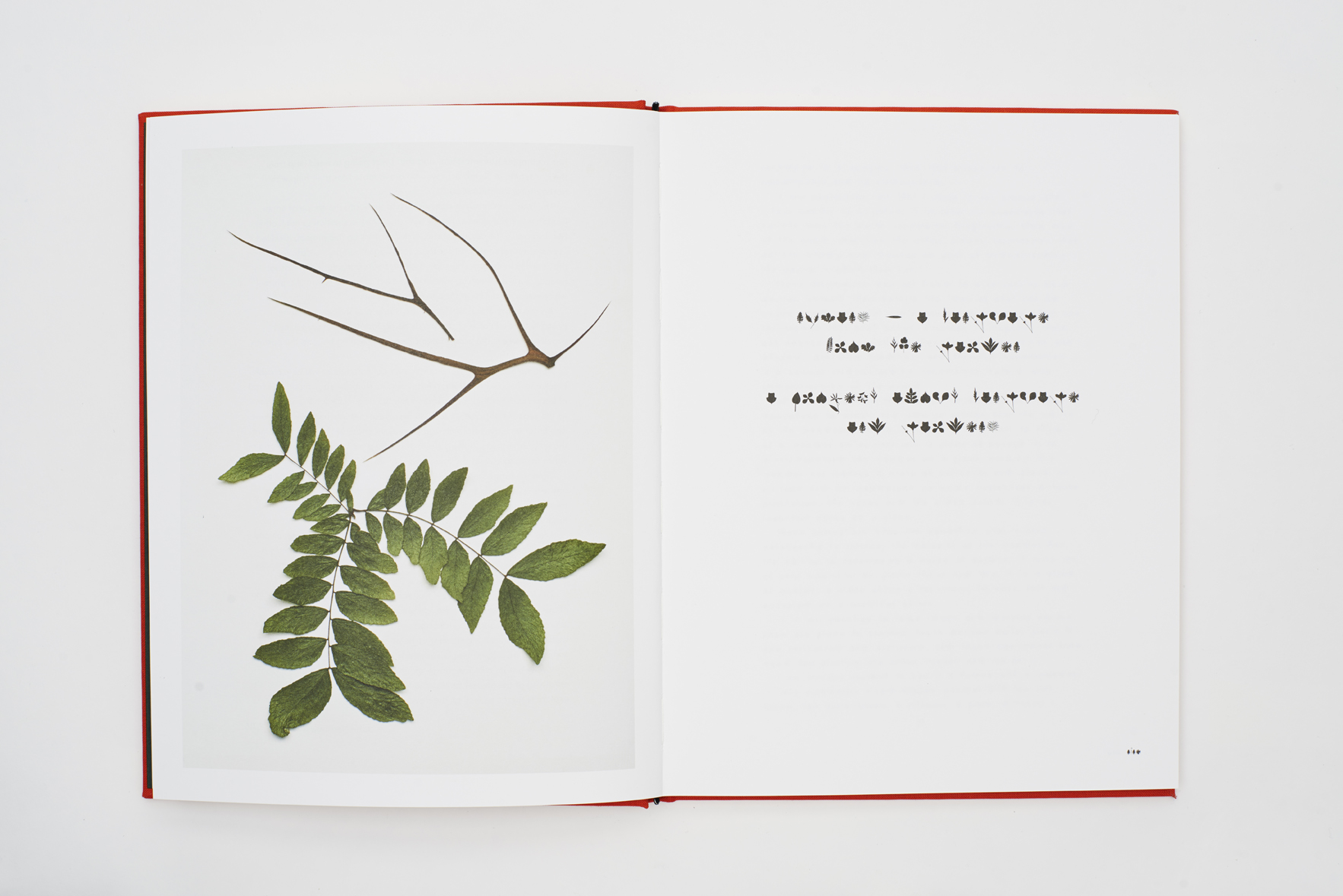 John Newling_04.jpg