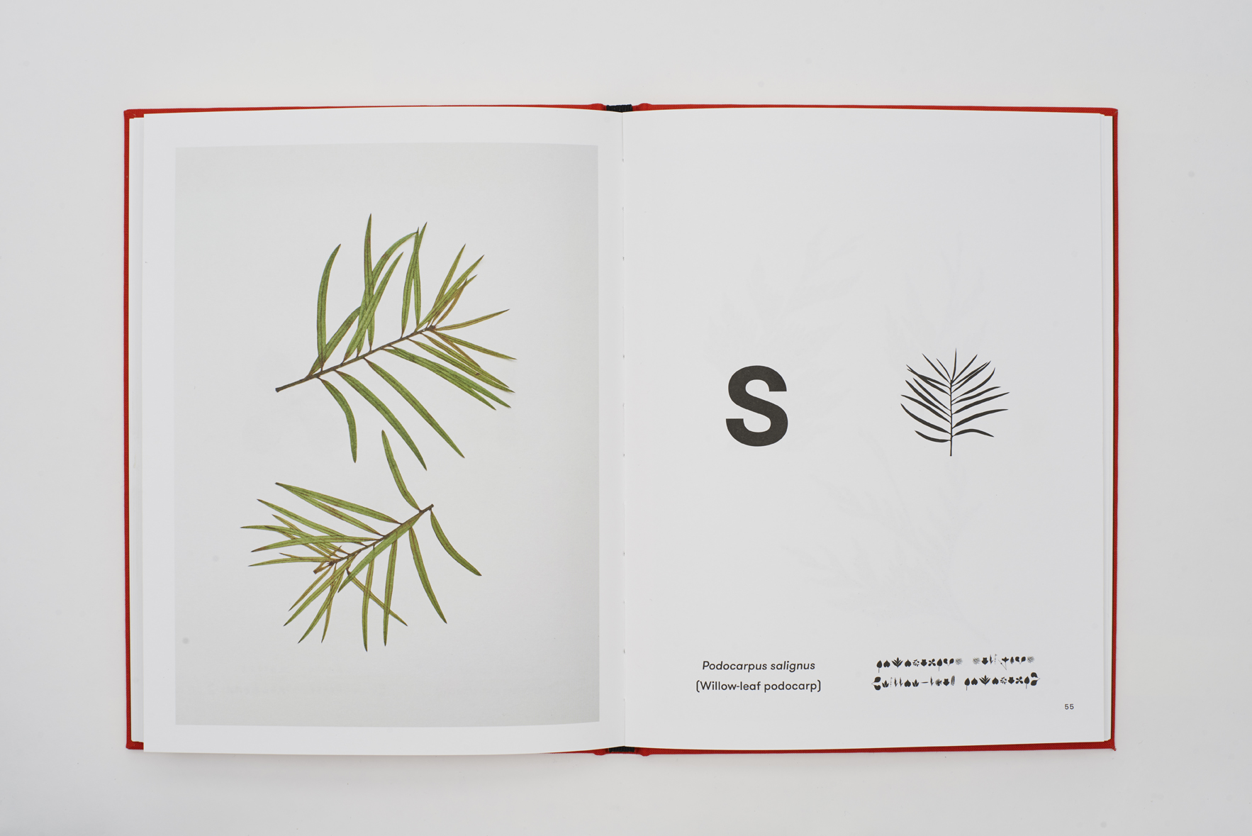 John Newling_09.jpg