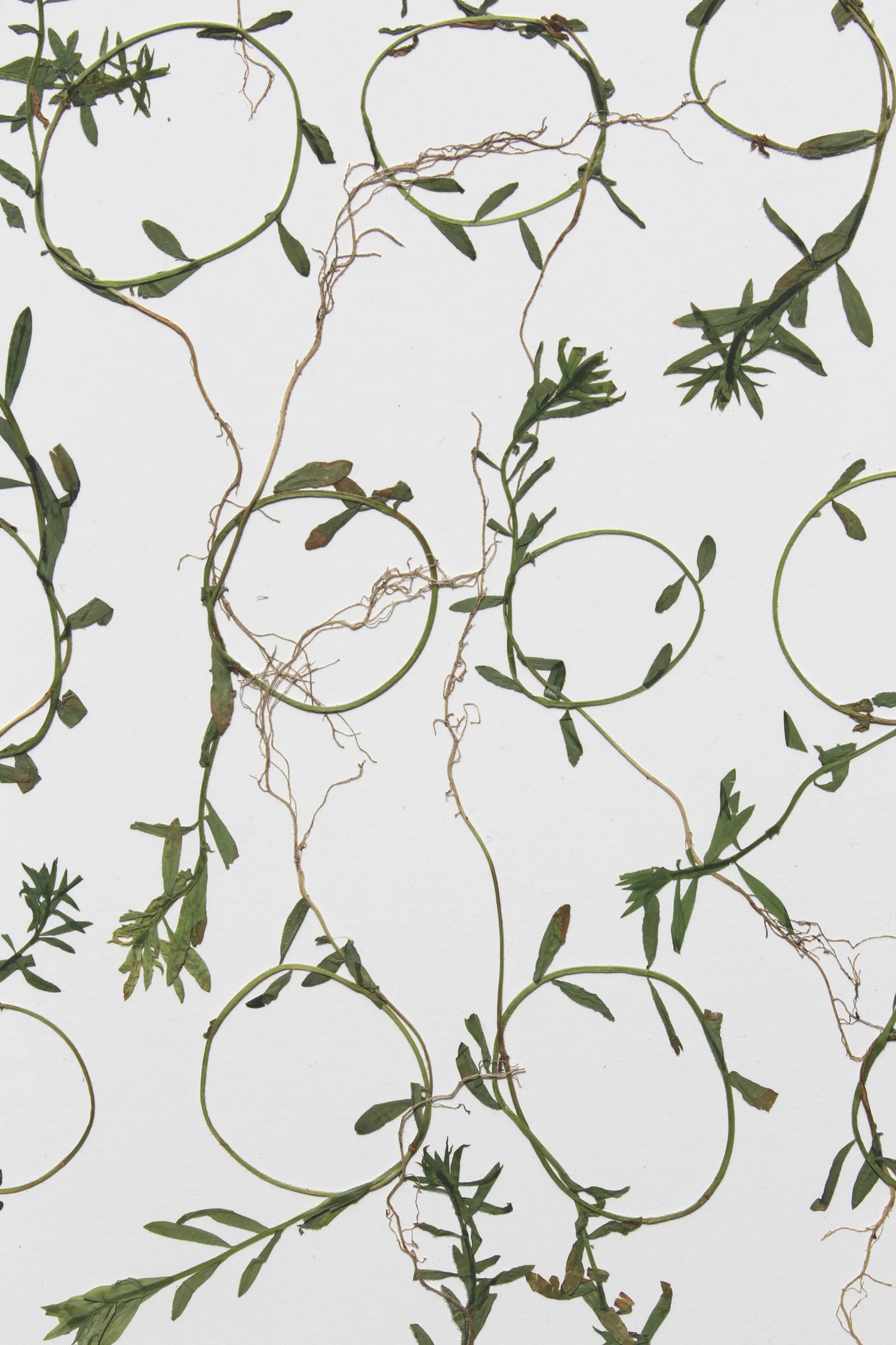 Detail-Design-for-a-farmer’s-duvet..jpg