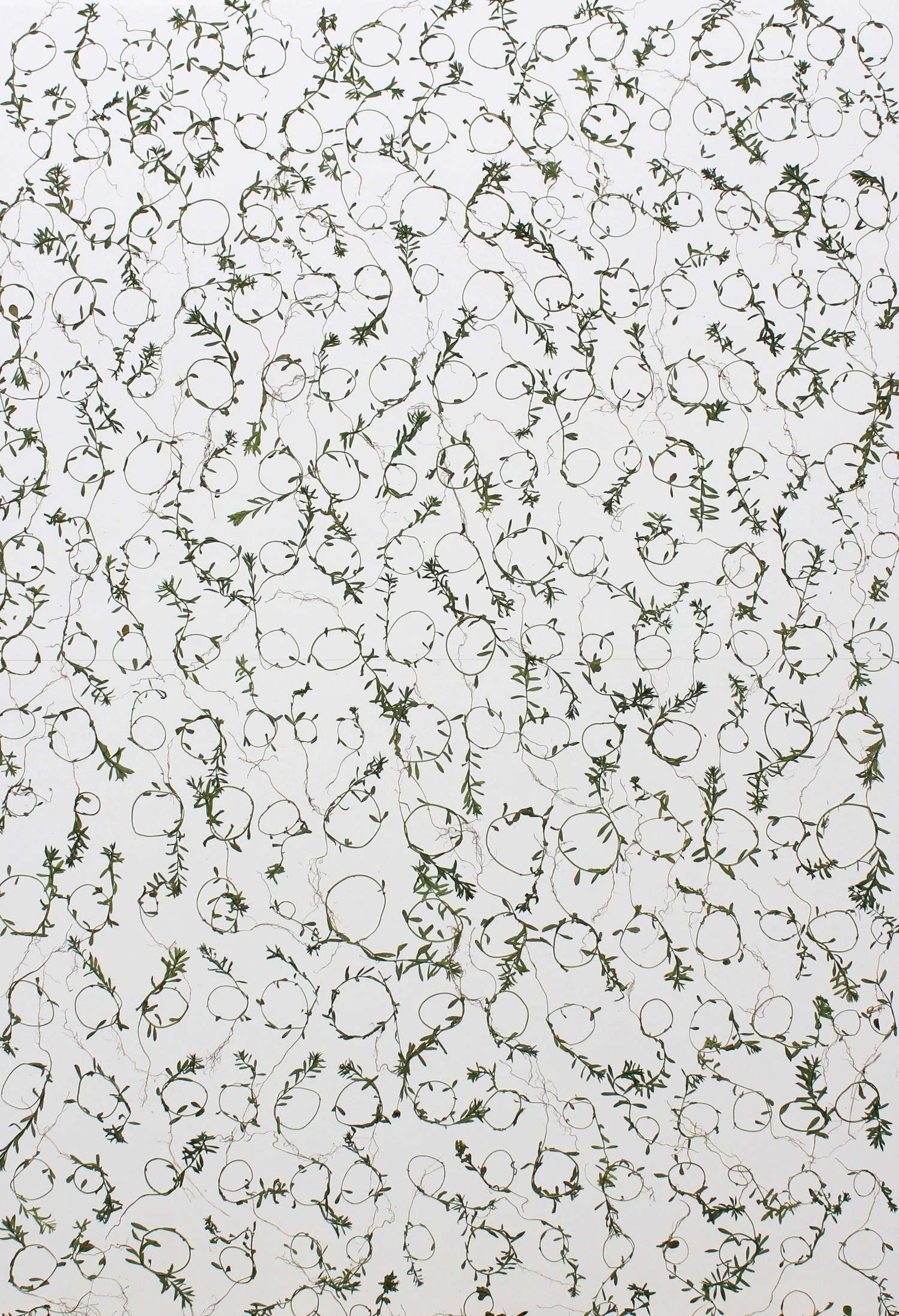 Design-for-a-farmer’s-duvet..jpg
