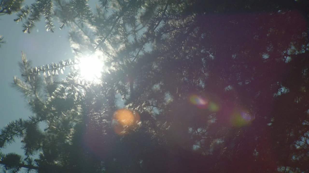 RBS - Real Food Cafe