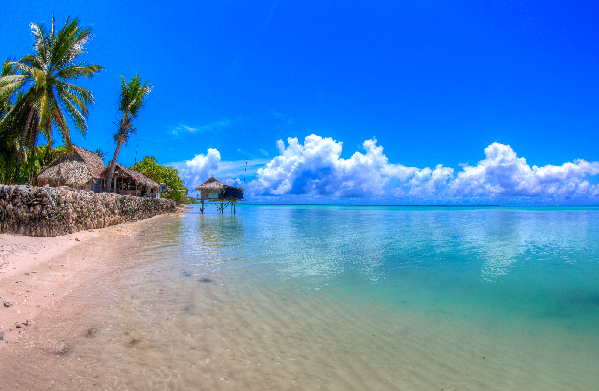 Pic by Nick Hobgood on flikr , creative commons.