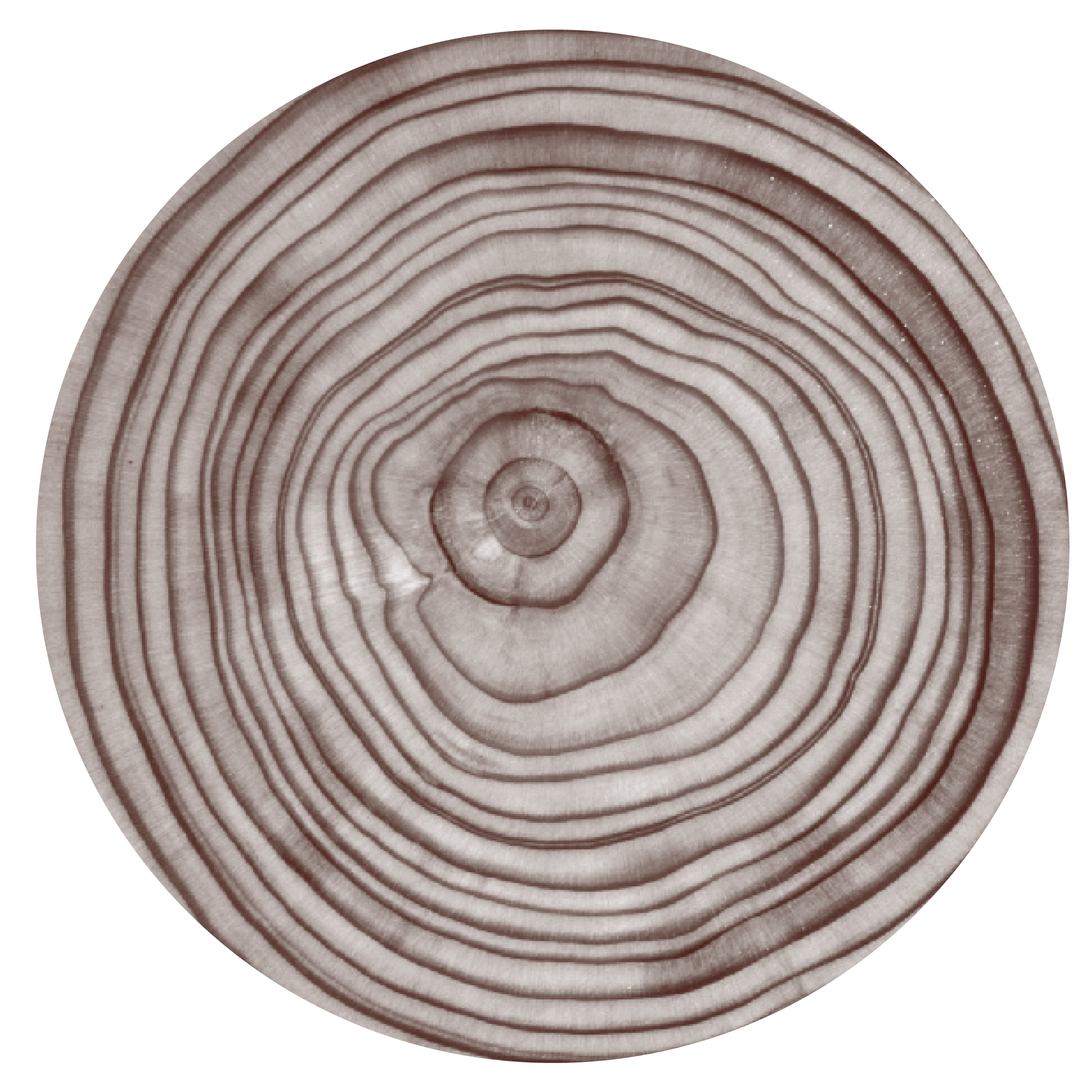 still tree rings 2.png