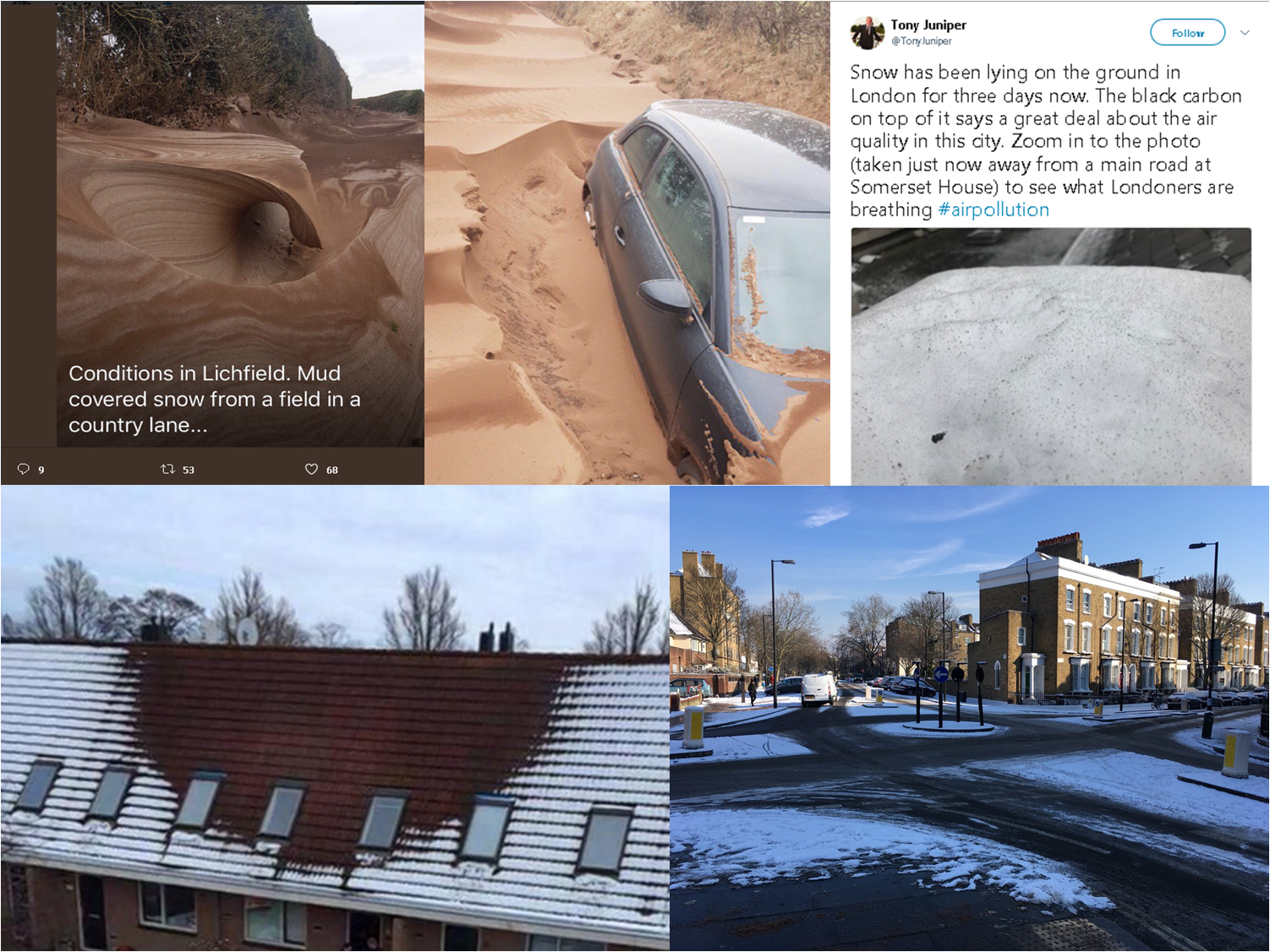 what snow reveals.png