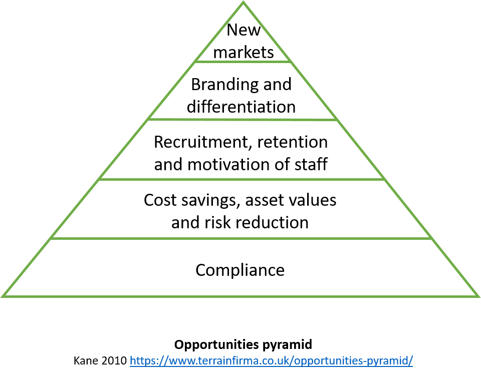 Kane opportunities pyramid.png
