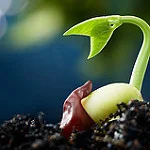 Managing the change to sustainability