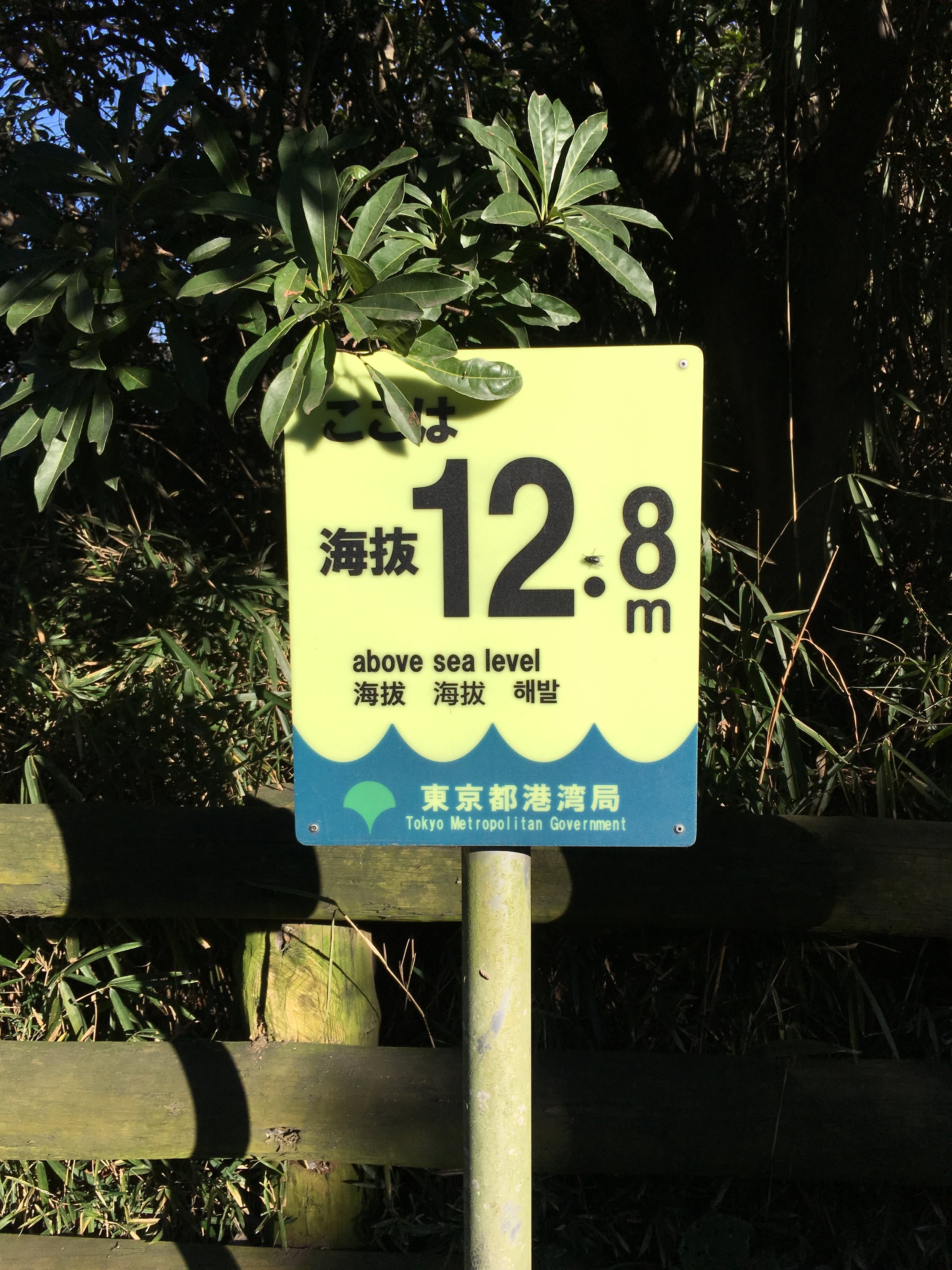 flood warning sign.jpeg