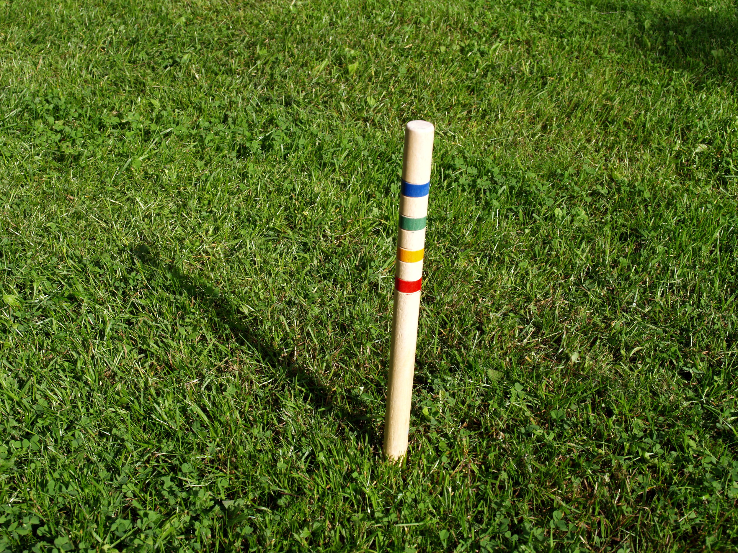 The stake in the ground a change strategy — Penny Walker