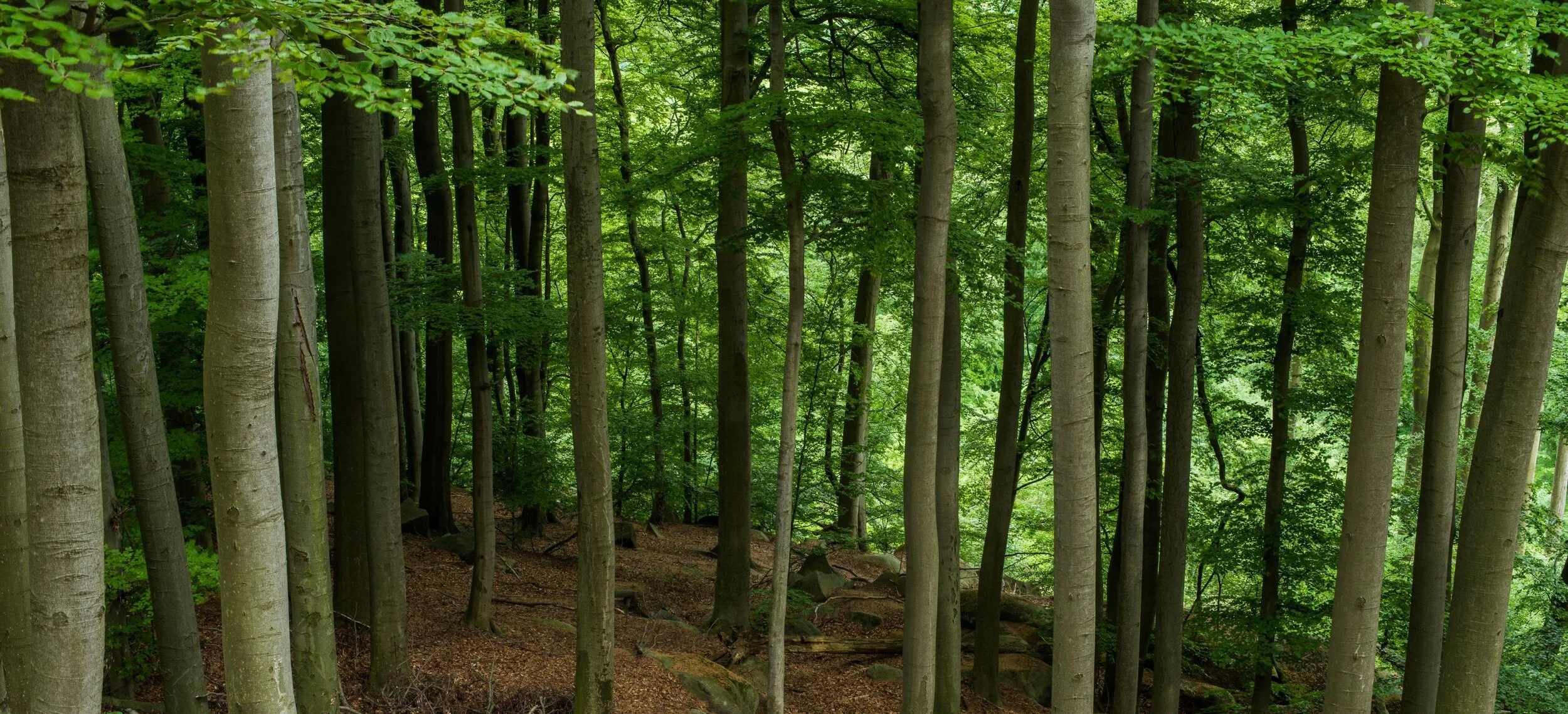 A little place of calm