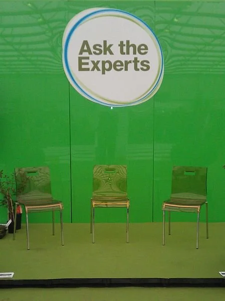 Experts in deliberation