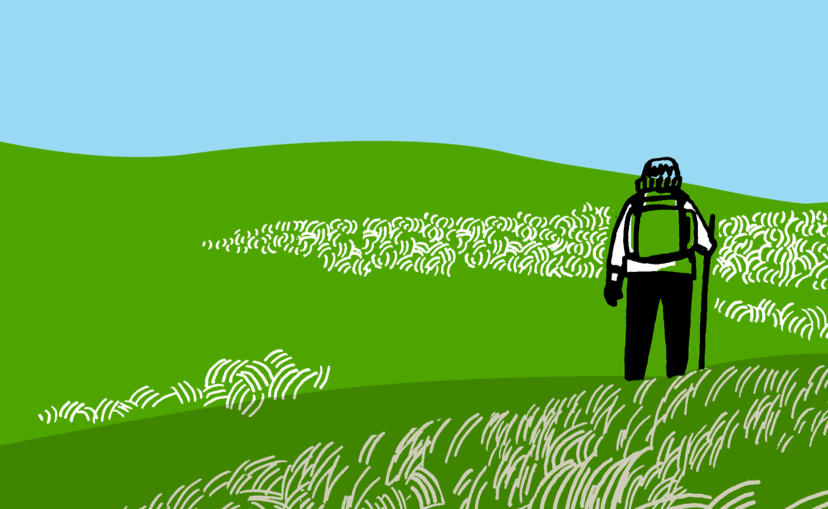 walk_1000.png