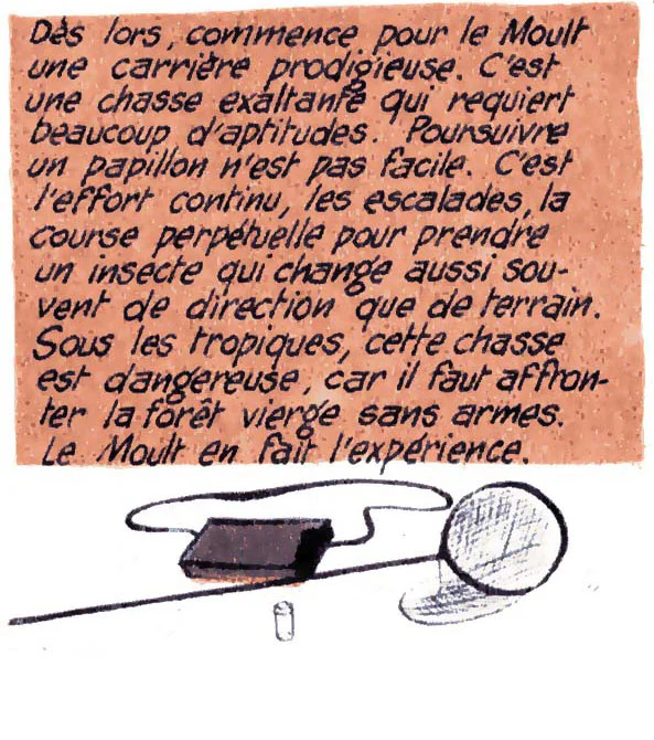 Thus, began an extraordinary career for Le Moult. It's an exhilarating hunt that takes many of skills. Tracking a butterfly is not easy. It's a continuous effort, much climbing, a perpetual race to take down an insect that changes direction as often as terrain. In the tropics, this hunt is dangerous, because you have to face the virgin forest unarmed. Le Moult experienced this first-hand.