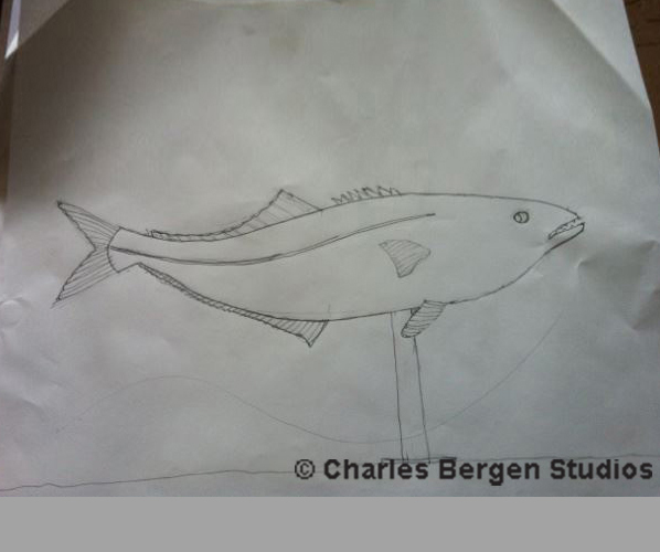 Initial Drawing of the Bluefish