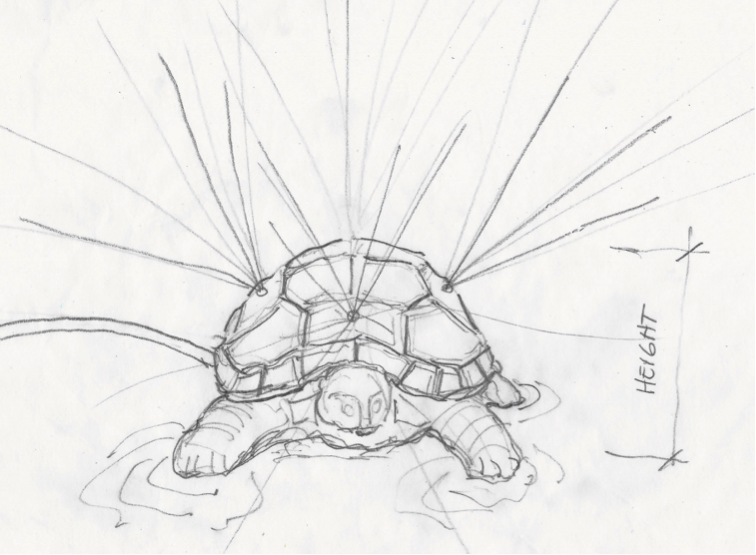 turtle3.png