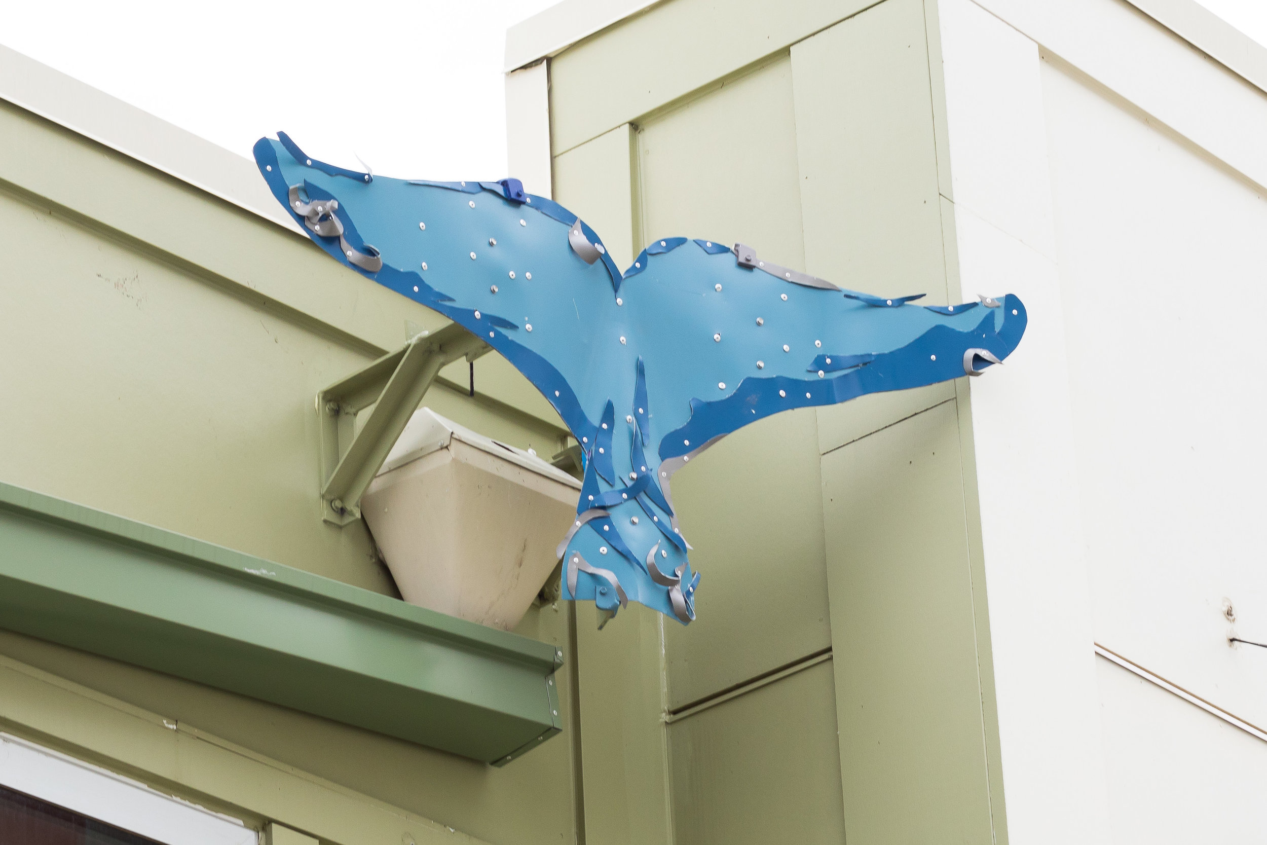 DP_downspout-6.jpg