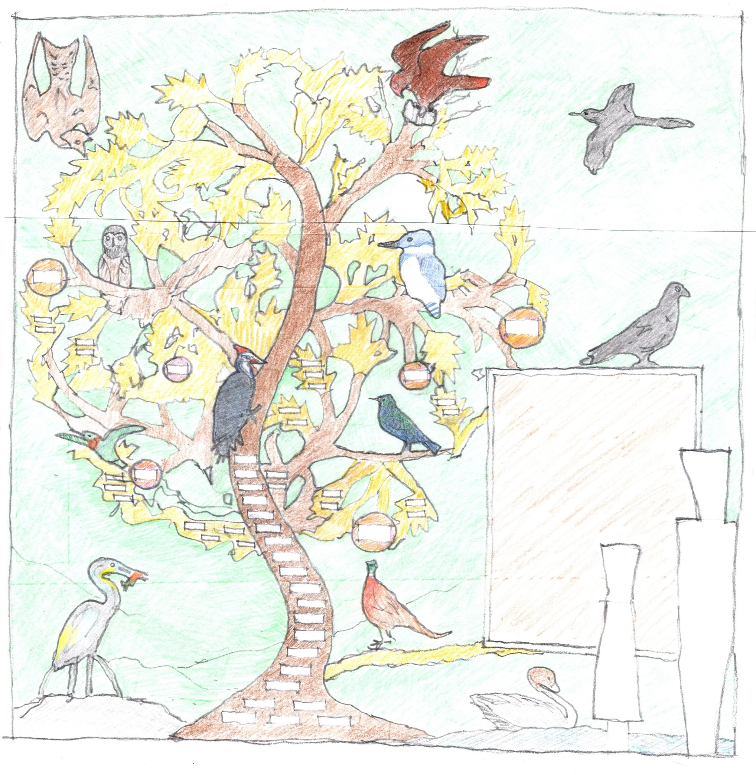 Aududon Donor Recognition Wall Sketch.jpg