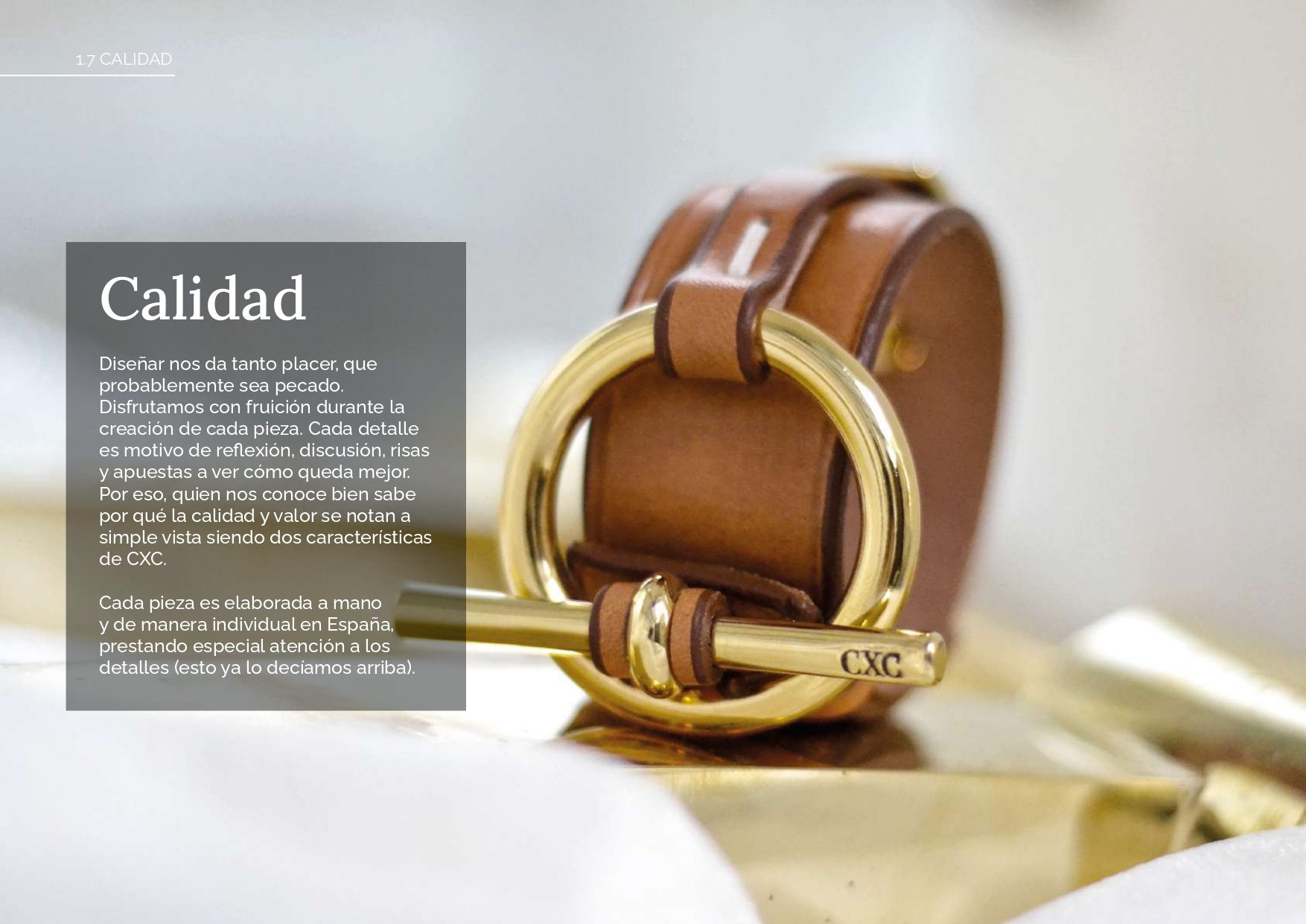 Brandbook 2025_screen_pages-to-jpg-0015.jpg