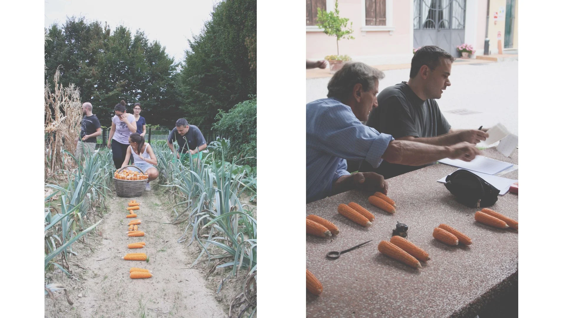 officine_green_presentazione.040.jpg