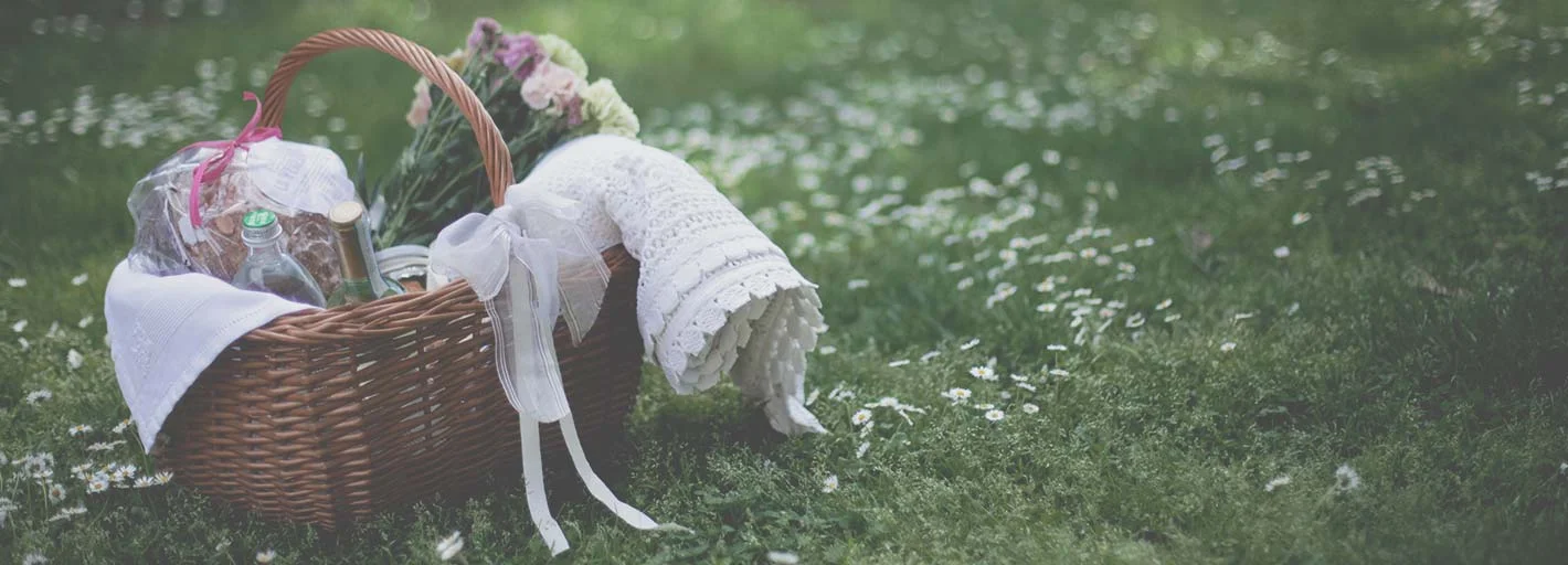 Pic-Nic sull'Ostiglia con super panino e UN cestino di cose buone