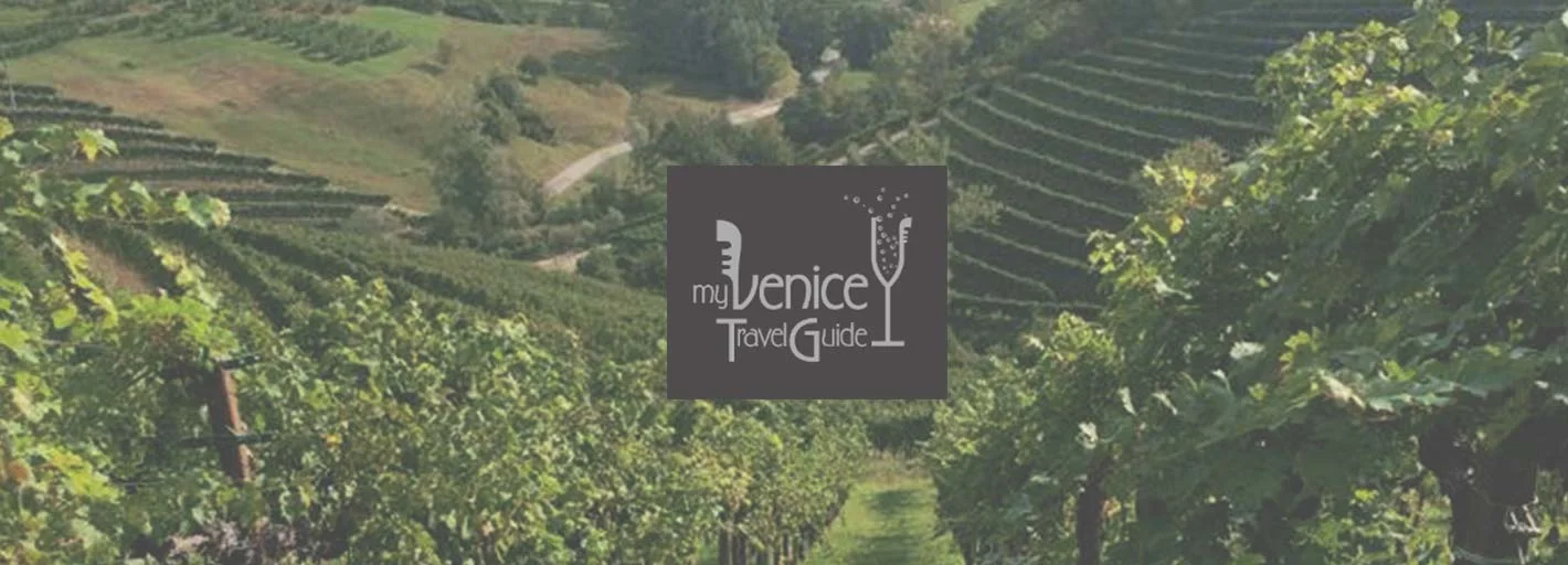 Food and Wine Tours a Padova, Venezia, terre del Prosecco, Verona e Lago di Garda 