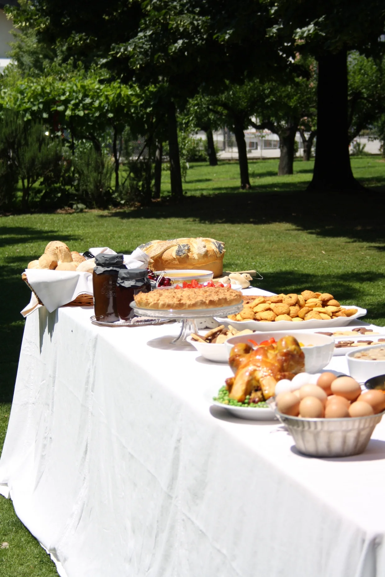 cadememi_giardino02 copy.JPG