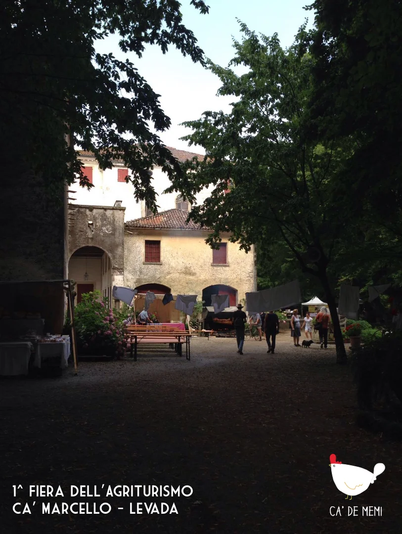 camarcello.001 copy.jpeg