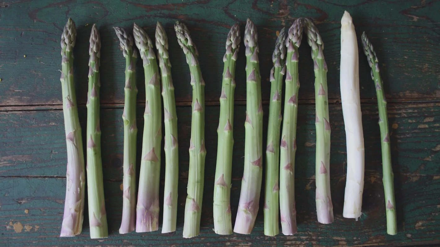 FotoFood - Primavera